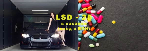 сатива Заволжье