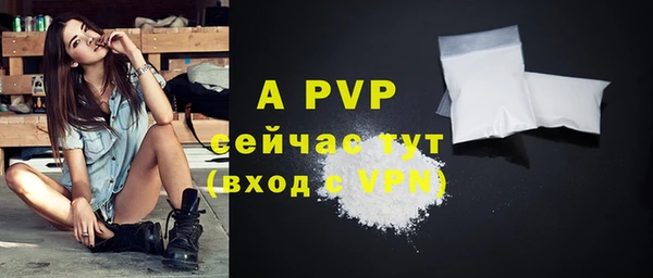 сатива Заволжье
