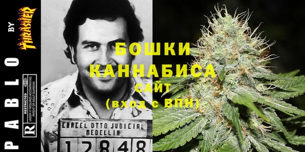 первитин Заводоуковск