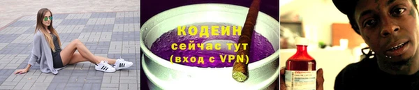 сатива Заволжье