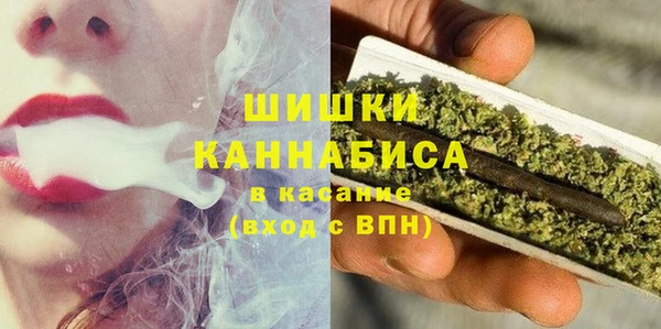первитин Заводоуковск