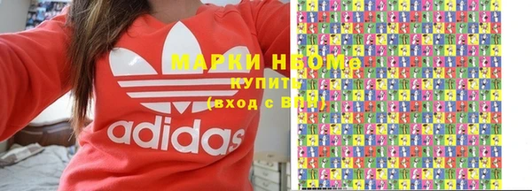 сатива Заволжье